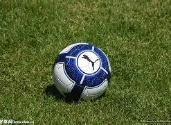 山东鲁能泰,山足球俱乐,部概述,金宝博188bet体育,金宝博188bet体育官网,金宝博188bet体育官方,金宝博188bet体育下载