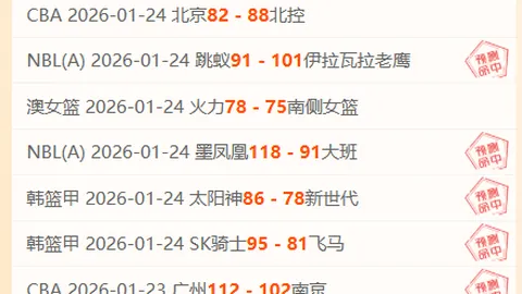 埃迪-豪：球队表现佳，后期体力受限